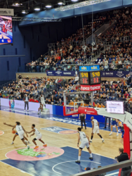 rostock-seawolves.png