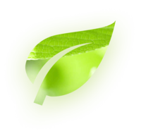 energie.png