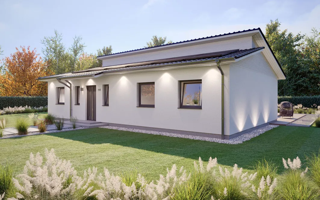 Bungalow SH 115 WB XXL - Var. B mit Pultdach | Hauseingang