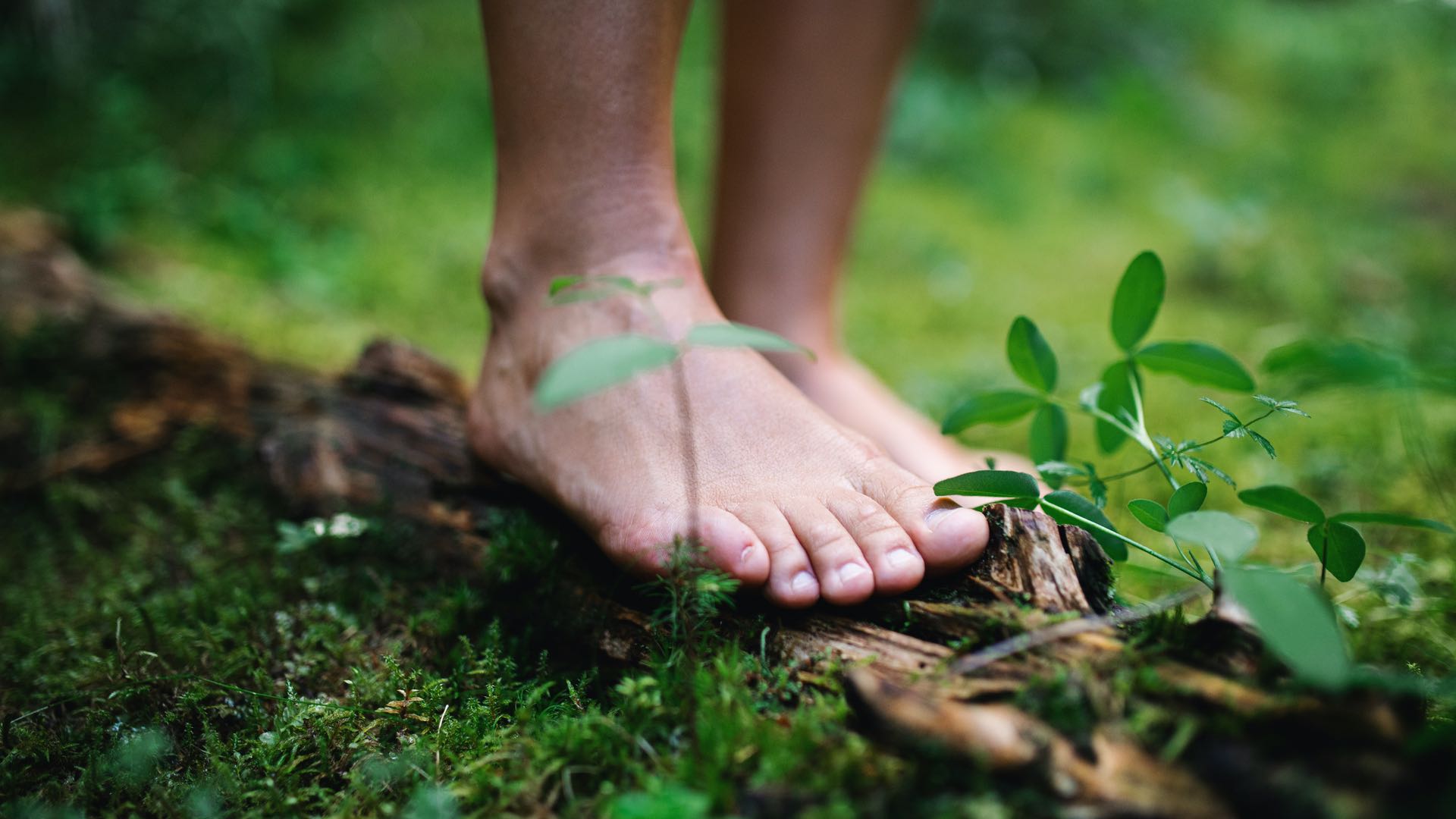 Barfusspfad im Garten