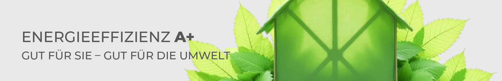 Energieeffizienz A+ bei ScanHaus