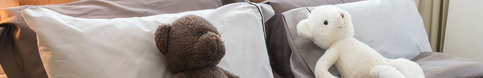 1,5-Geschosser Fertighaus